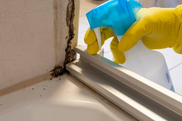 Best Residential Mold Remediation in Broxton, GA