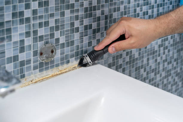 Best Mold Remediation for Schools in Broxton, GA