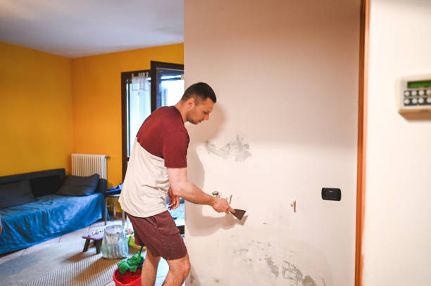 Best DIY Mold Remediation Support Services in Broxton, GA